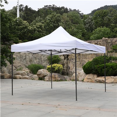 Stan s baldachýnom 10x10